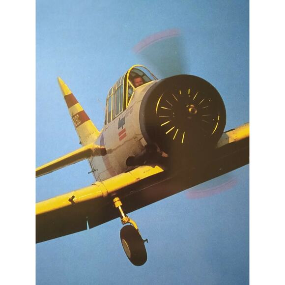 Airshow Jon Davison Foreword By Gary Numan Book Aviation 1992 Softcover 160 Page - Picture 4 of 10